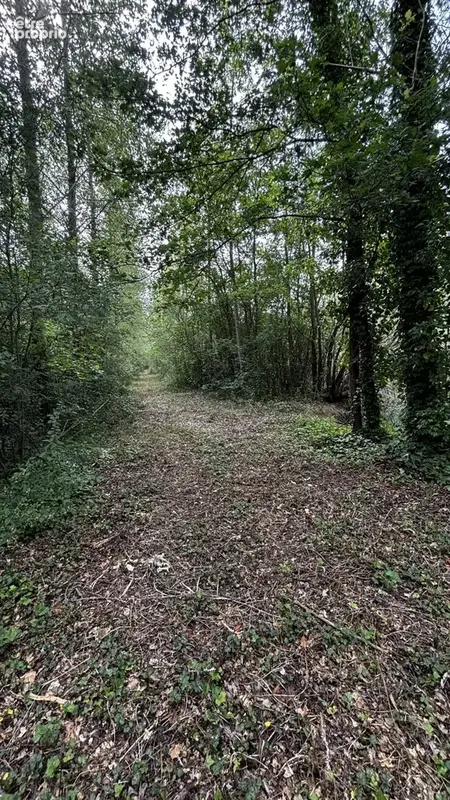 Terrain 15981 m² à Charmoy  - photo 6