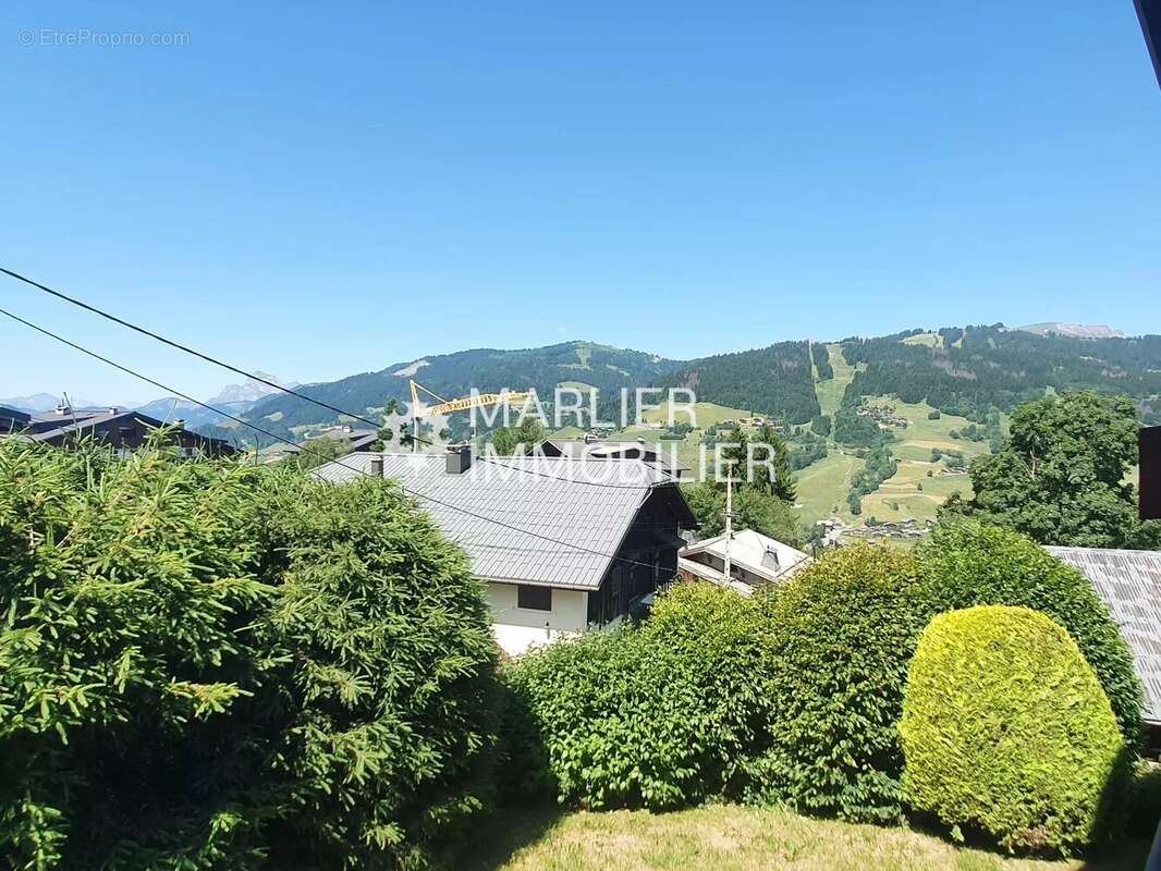 Pettoreaux - f1 de 24,33 m² - photo 10