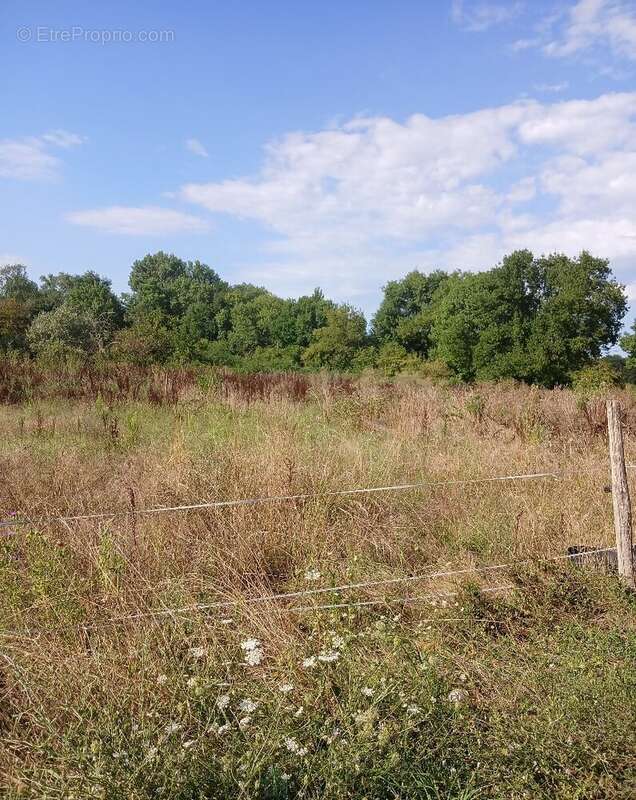 Terrain constructible - photo 2