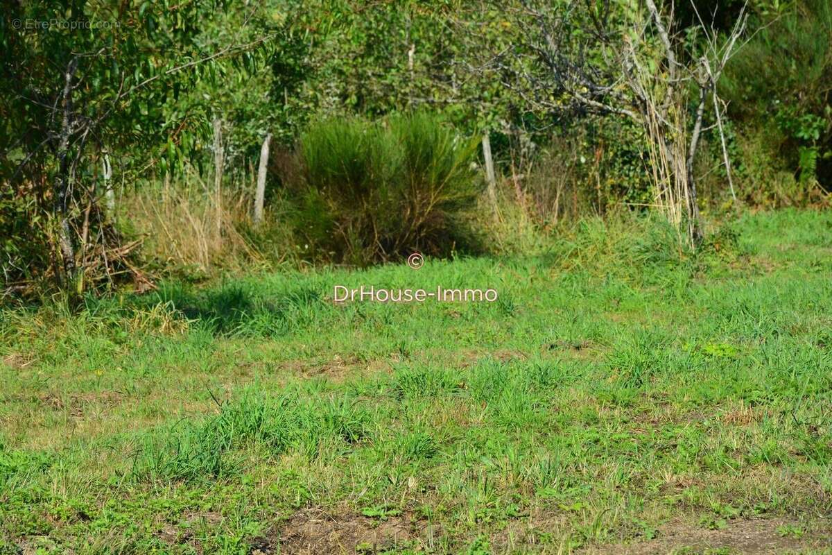 Terrain à BUSSIERE-GALANT