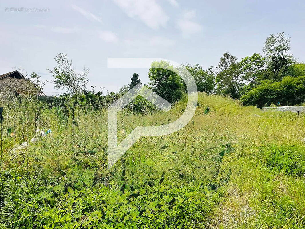 Terrain à VIELLESEGURE