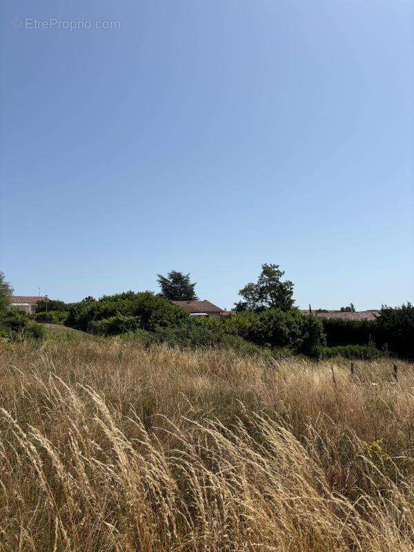 Terrain à LES HAIES