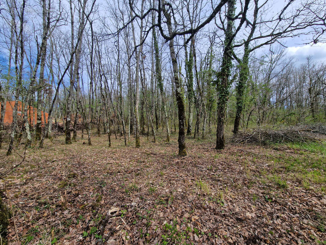 Terrain à acheter à Nadaillac avec L'AGENCE GAILLARDE - photo 2