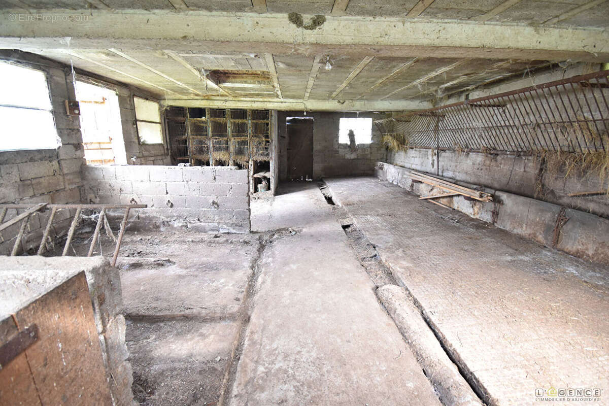 Maison à ENTRE-DEUX-EAUX