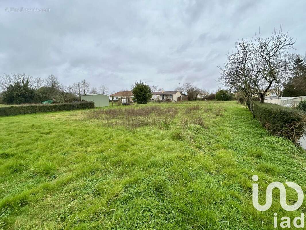 Photo 3 - Terrain à MARSAIS-SAINTE-RADEGONDE