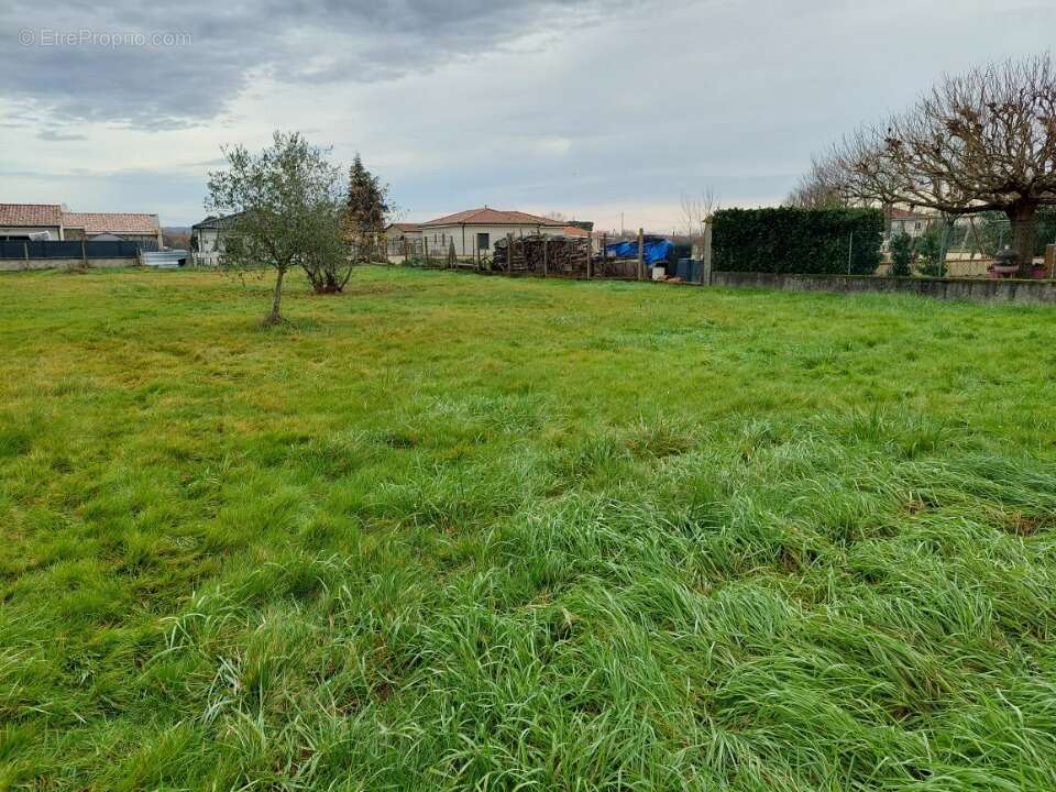 Terrain à VILLEBRUMIER