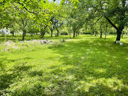 Terrain à TERRASSON-LAVILLEDIEU