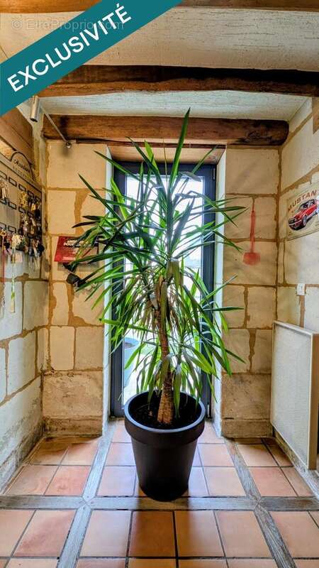 Photo 6 - Maison à CHINON