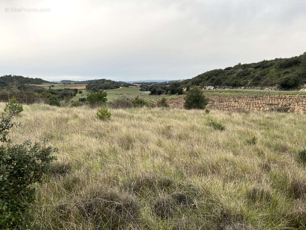 Terrain à SAINT-CHINIAN