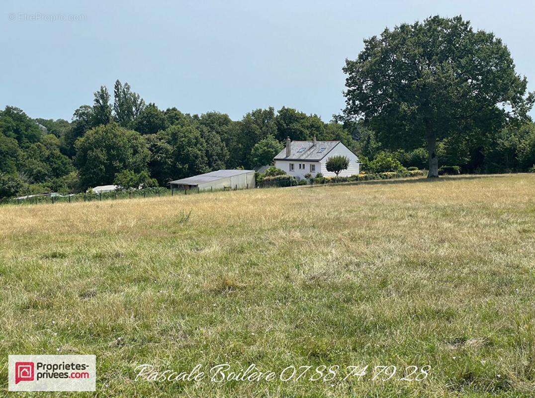 Maison à MOULIHERNE