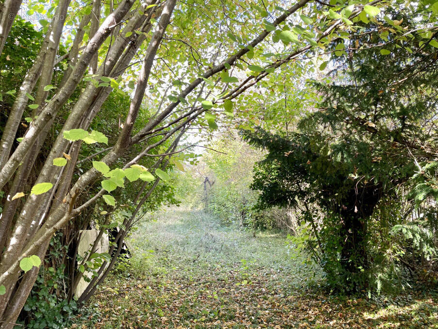 Terrain à SAINT-ANDRE-LES-VERGERS