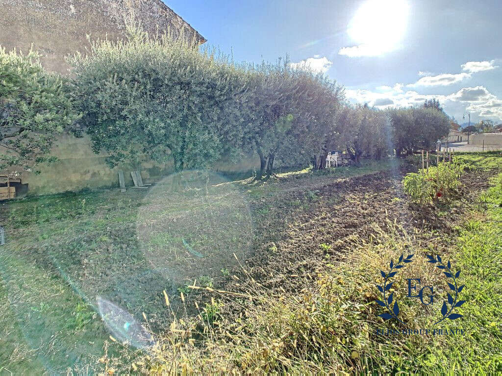 Terrain à CHEVAL-BLANC