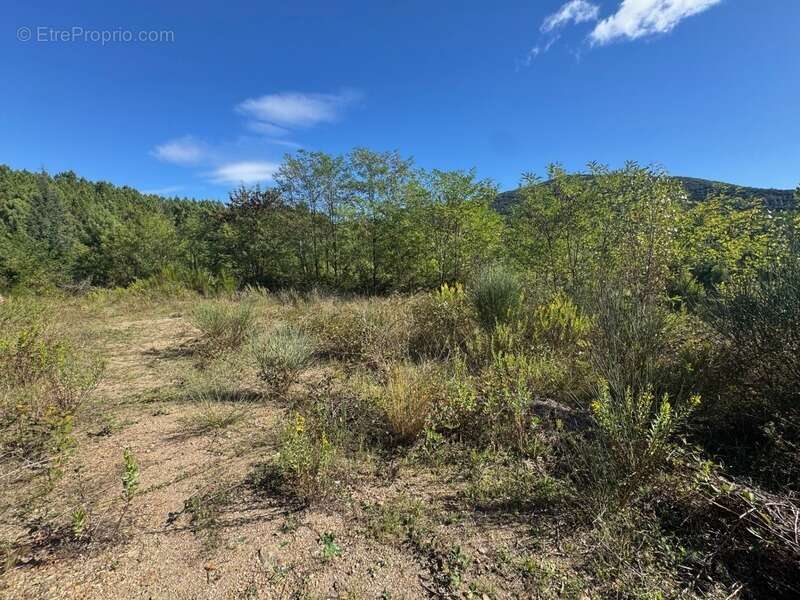 Terrain à LE MARTINET