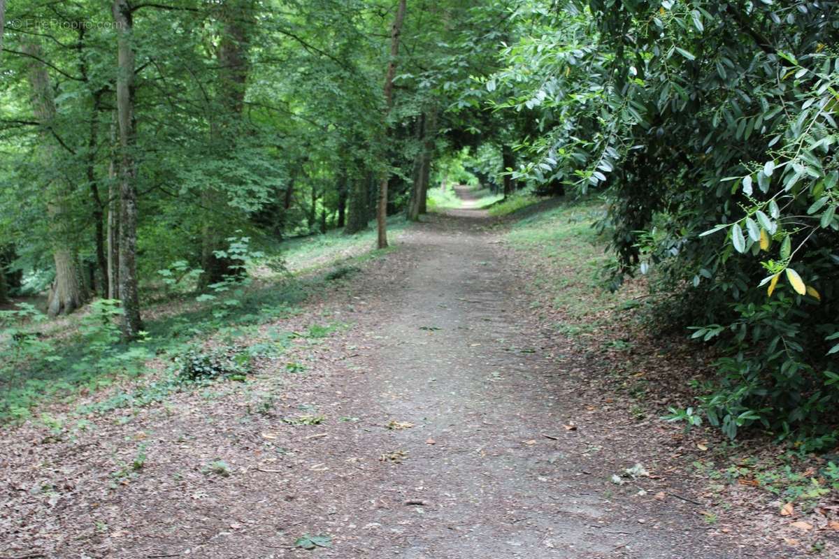 Appartement à OLIVET