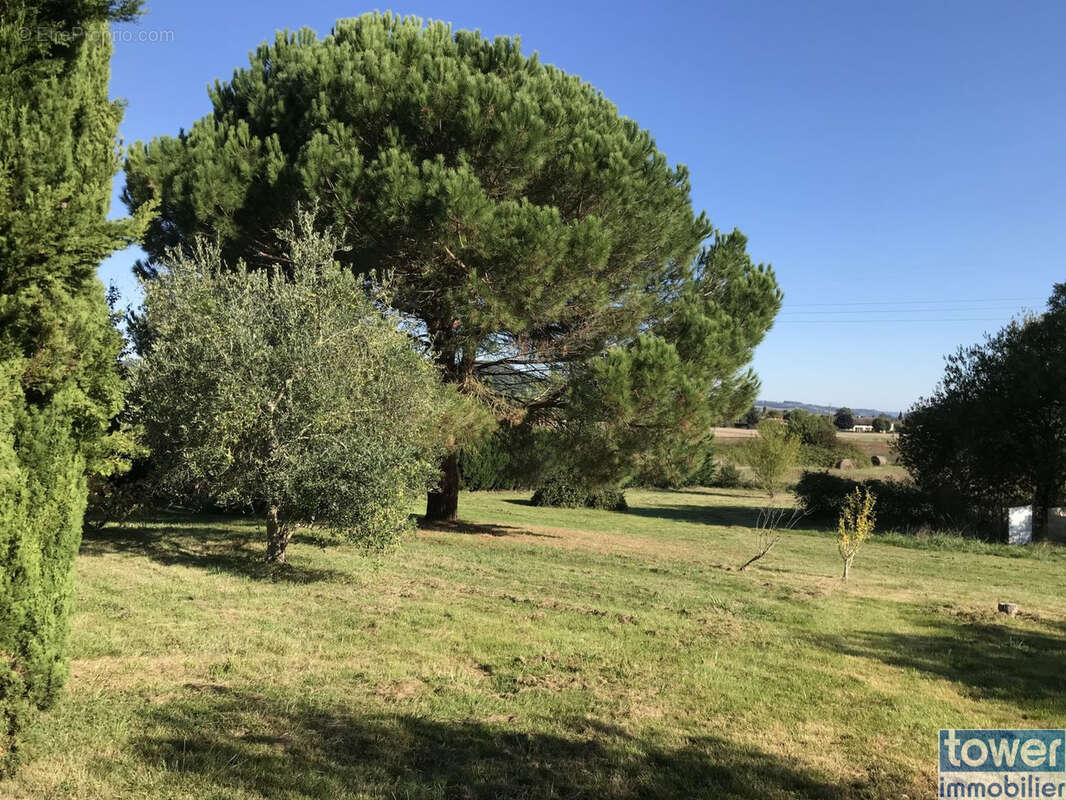A 10 mm d'Agen centre, pavillon de plain-pied de 120m2 avec piscine, terrasse 75m2,  terrain clos de 6390m2 - photo 5