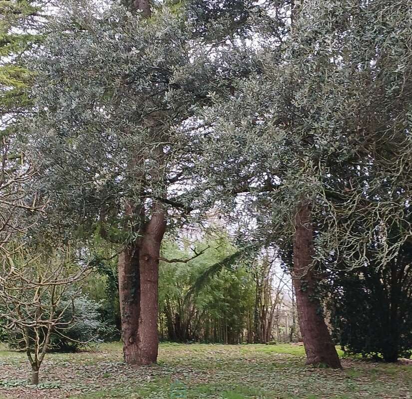 Maison à SAINT-AULAYE