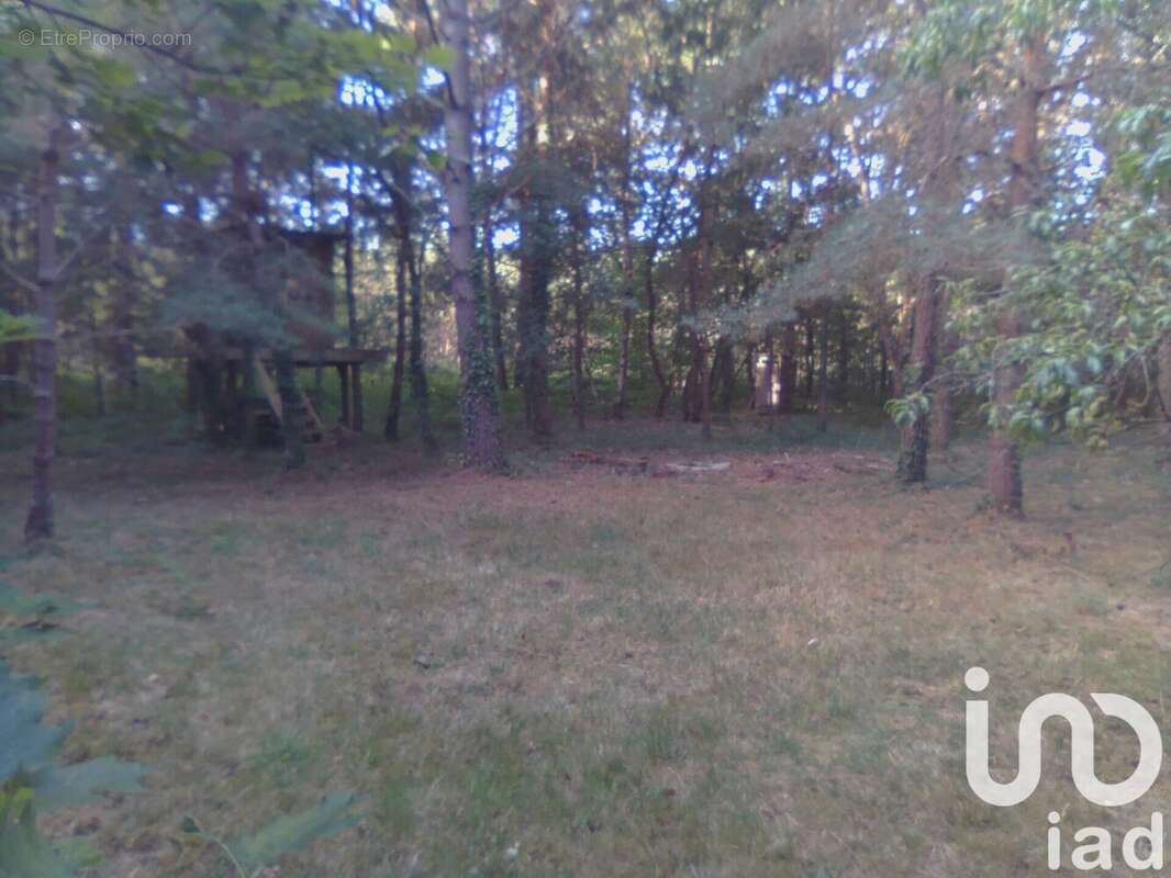 Photo 6 - Terrain à BAUGE