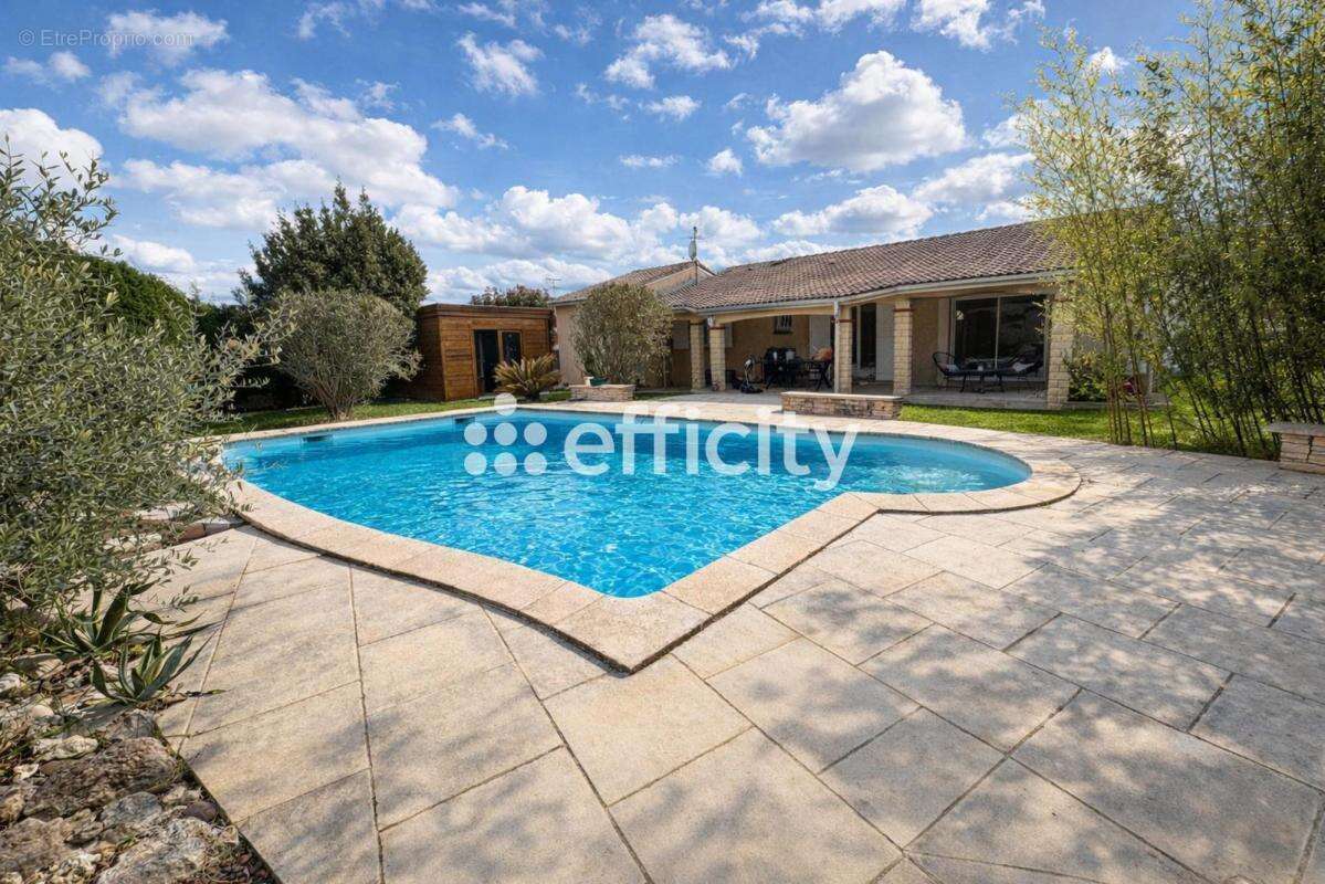 Maison à LA SALVETAT-SAINT-GILLES