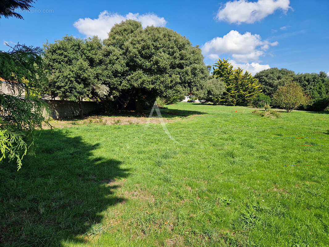 Terrain à BREM-SUR-MER