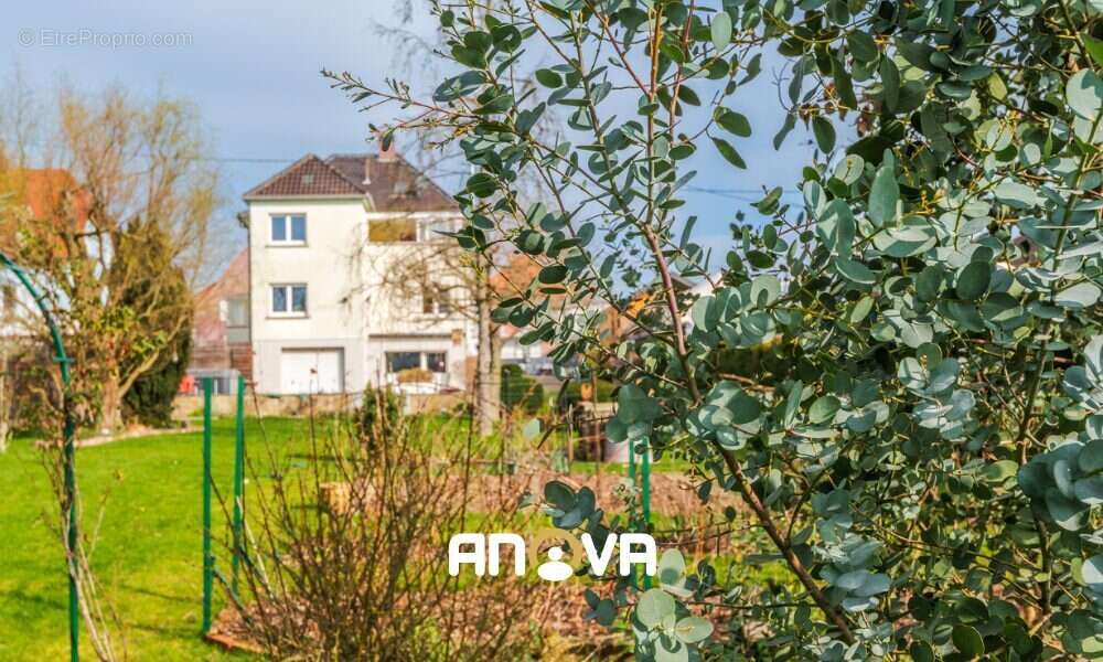 Maison à MOMMENHEIM