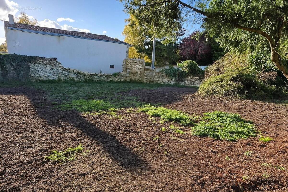 Photo 1 - Terrain à CISSE