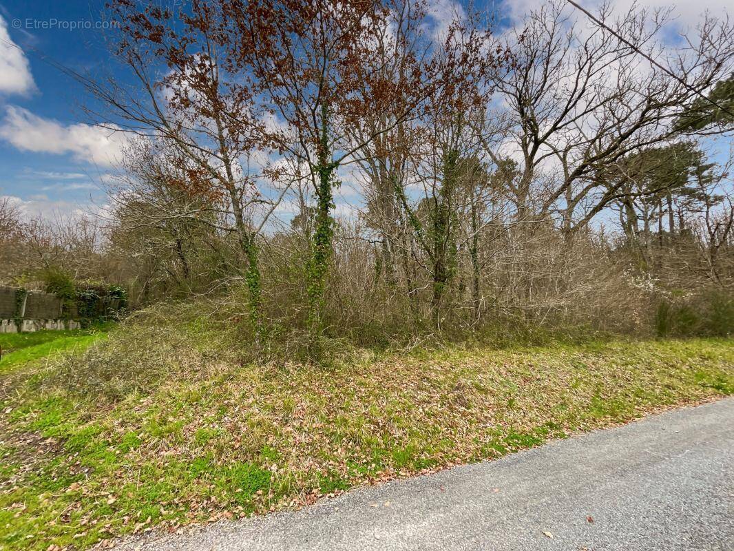 Terrain à SAINT-GERMAIN-DU-SALEMBRE