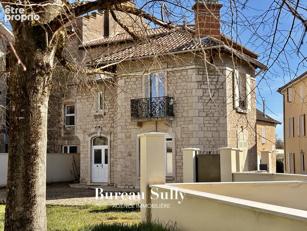St Didier sur Chalaronne centre ( 01140 ) Maison 300 m2 Terrain 525 m2, ttes commodités, 20 mn gare Belleville - photo 1