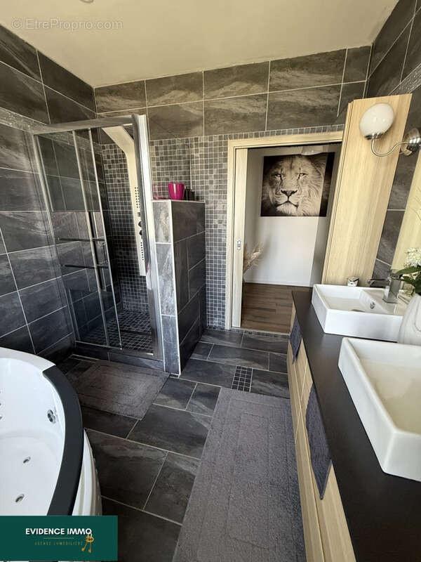 Maison à VEYRINS-THUELLIN