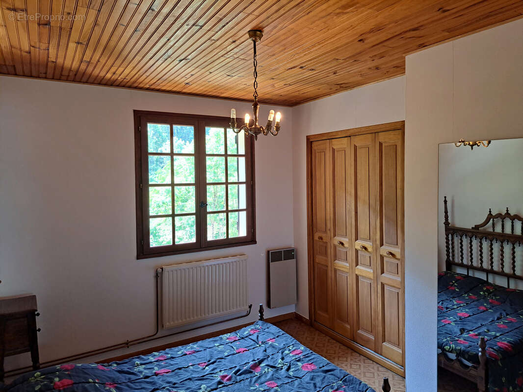 Grande maison familiale avec gîte indépendant, terrasses et jardin à Sainte-Colombe-sur-Guette - photo 18