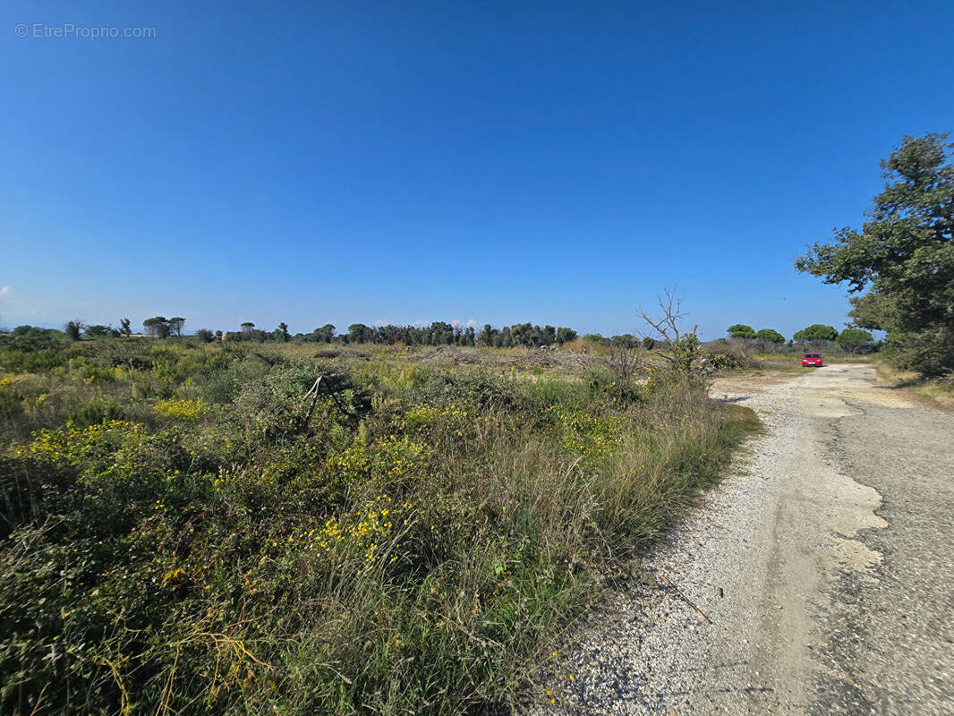 Terrain à SAINT-ANDRE