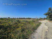 Terrain à SAINT-ANDRE