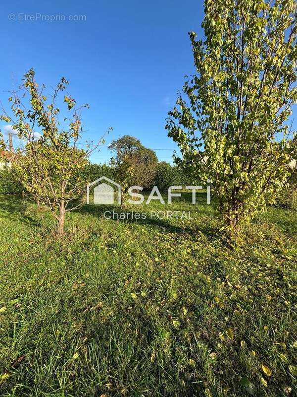 Photo 5 - Terrain à BRANOUX-LES-TAILLADES