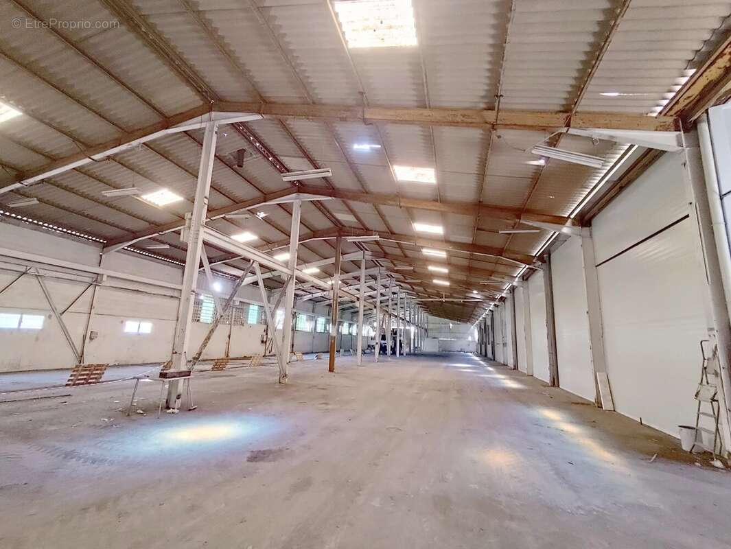 Commerce à SAINT-MAURICE-DE-CAZEVIEILLE