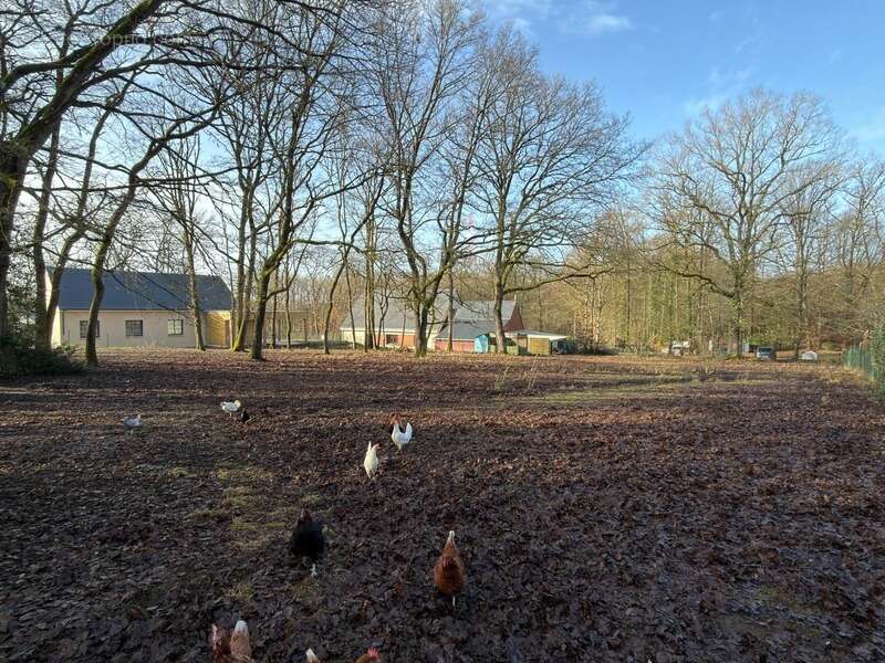 VERRIE, Terrain de 2000m² à bâtir hors lotissement et libre de constructeur - photo 4