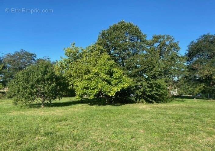 Terrain à RAIMBEAUCOURT