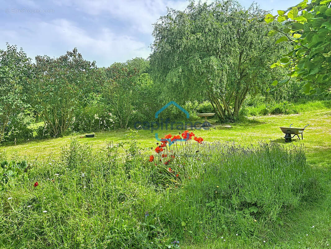 Maison de charme rénovée avec grand jardin arboré – Saint-Valery-en-Caux - photo 9