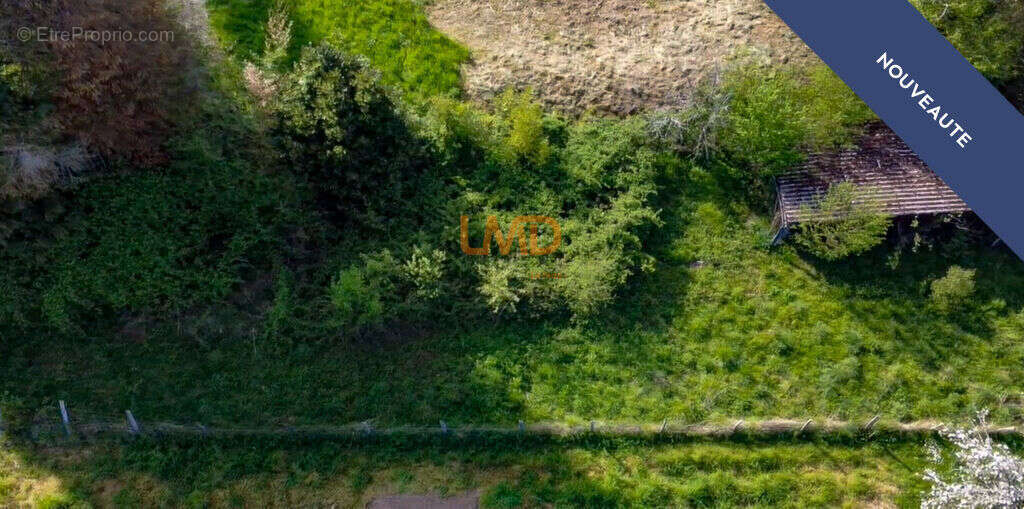 Terrain à SAINT-PAUL