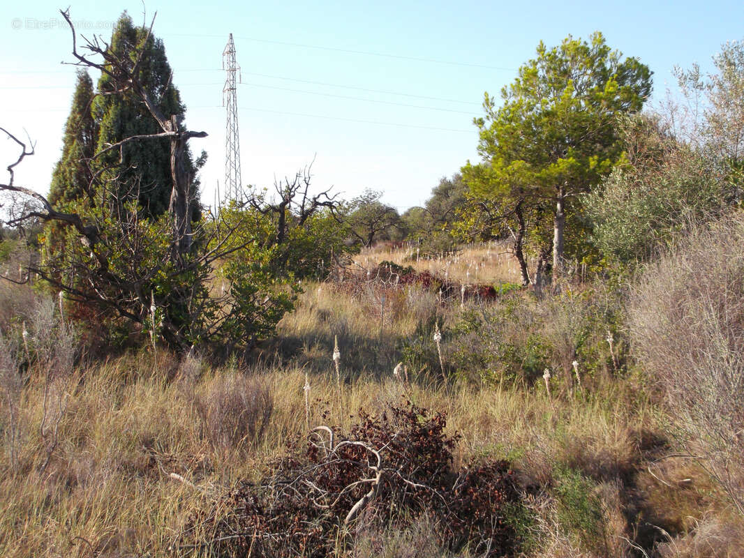 Terrain à PERPIGNAN