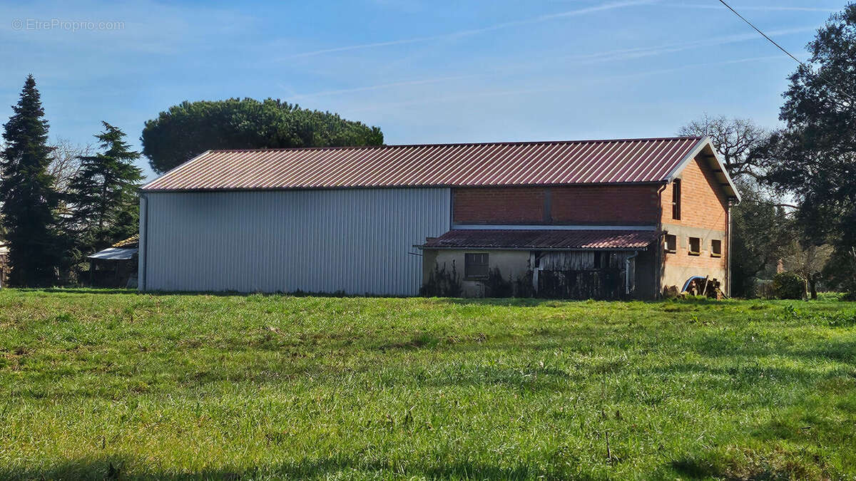 Maison à VILLEMUR-SUR-TARN