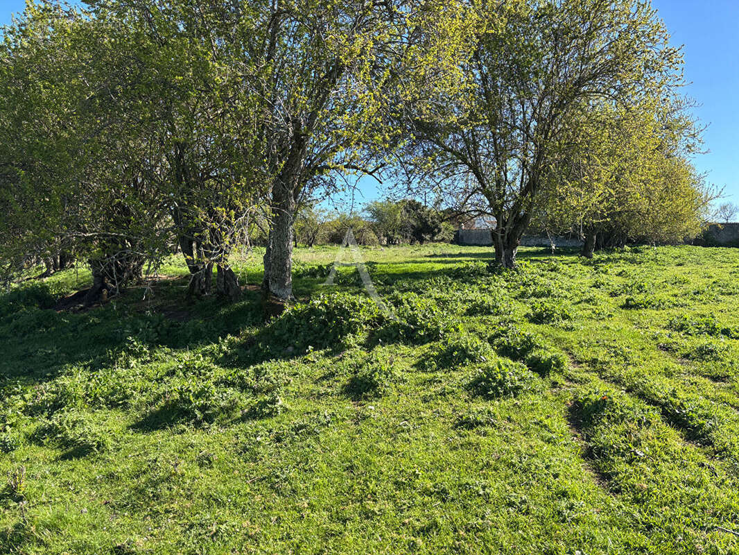 Maison à FONTENAY-LE-COMTE