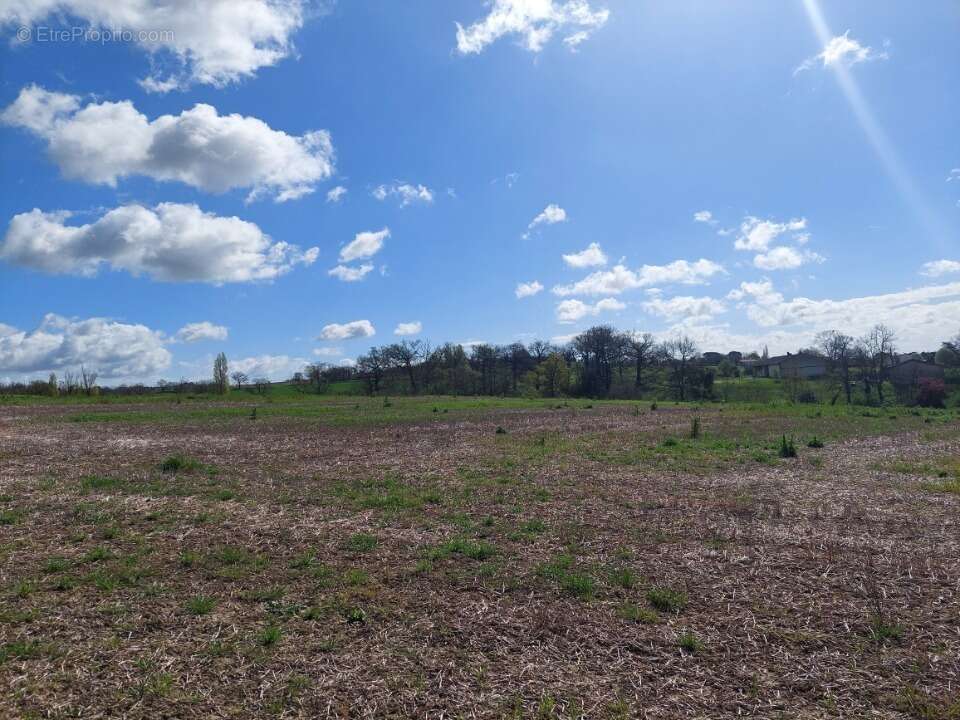 Terrain 985 m² à Verfeil  - photo 4