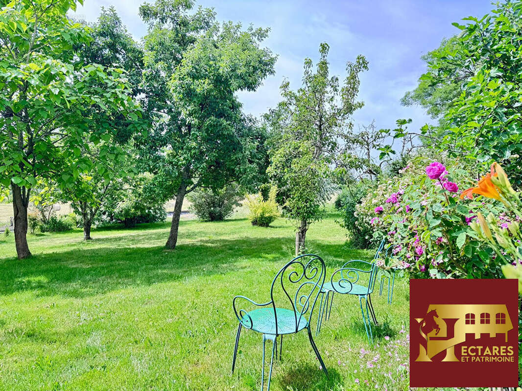 Magnifique domaine 6,4 hectares + fermages - photo 5