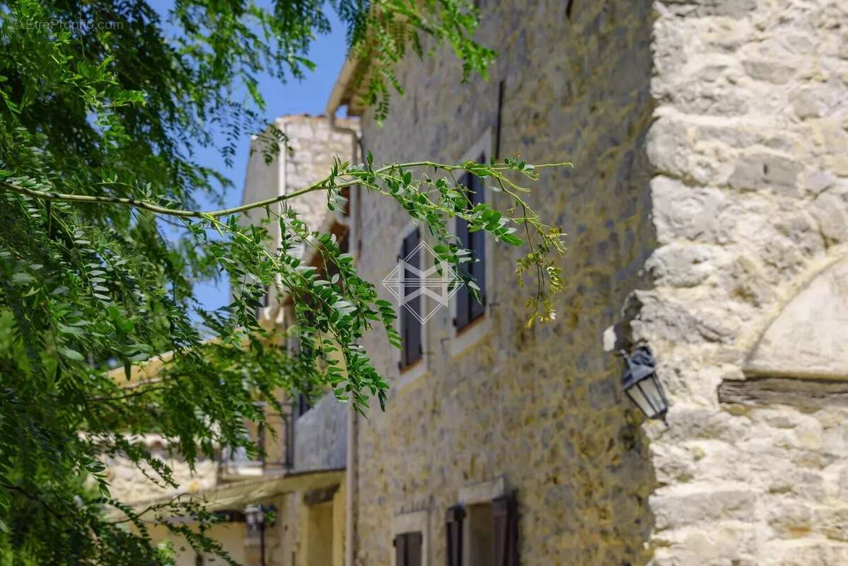 Canton de Fayence – Mas ancien - photo 6