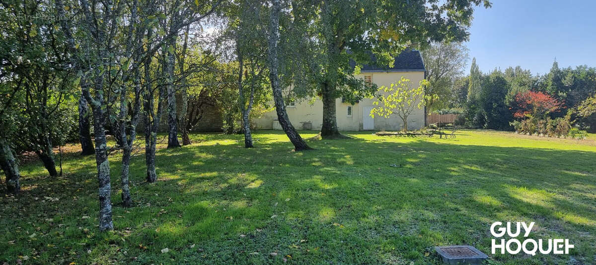 Terrain à VIGNEUX-DE-BRETAGNE