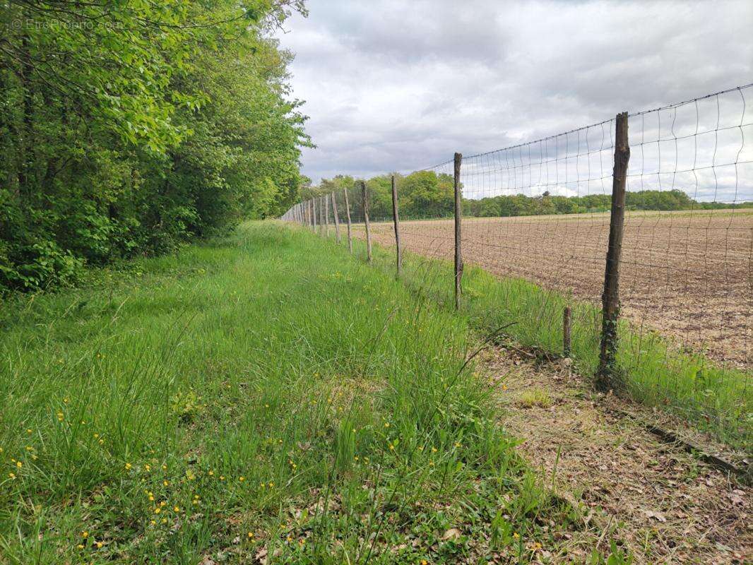 Terrain à MIGNALOUX-BEAUVOIR