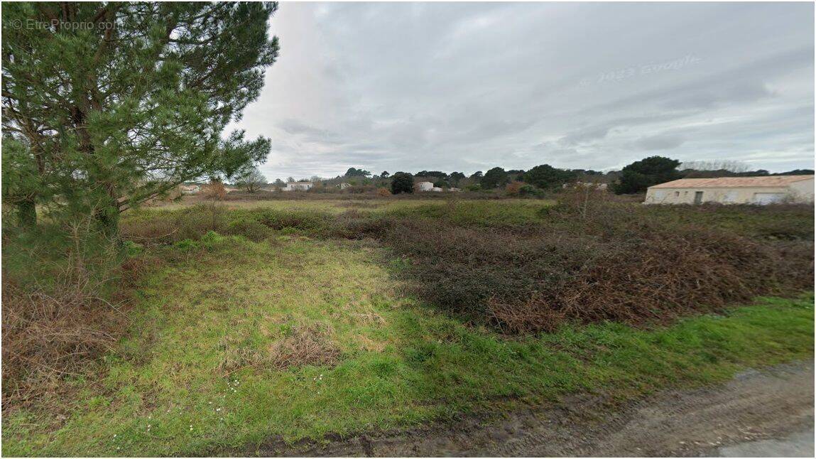 Terrain à SAINT-AUGUSTIN