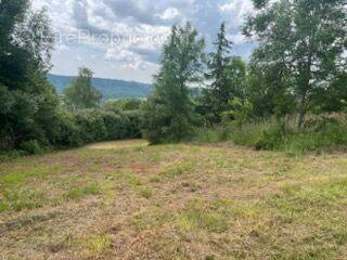 Terrain à PRUINES