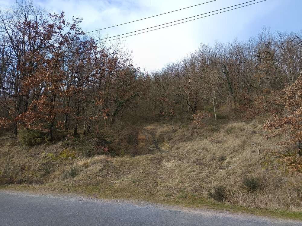 Ensemble de 3 terrains boisés 4870 m² - photo 2