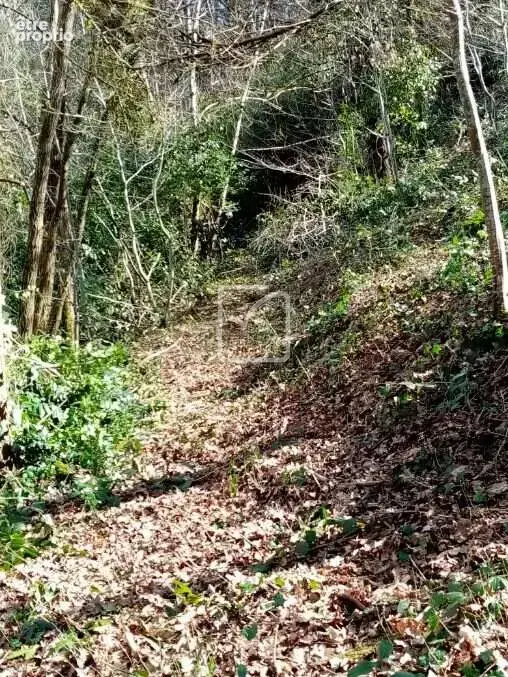 Terrain a vendre sur les hauteurs de tulle - photo 3