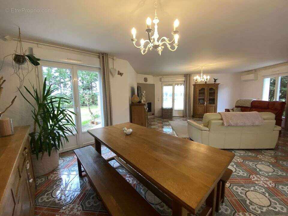 #villa #maison #piscine #gers #eauze #dépendances - Maison à EAUZE